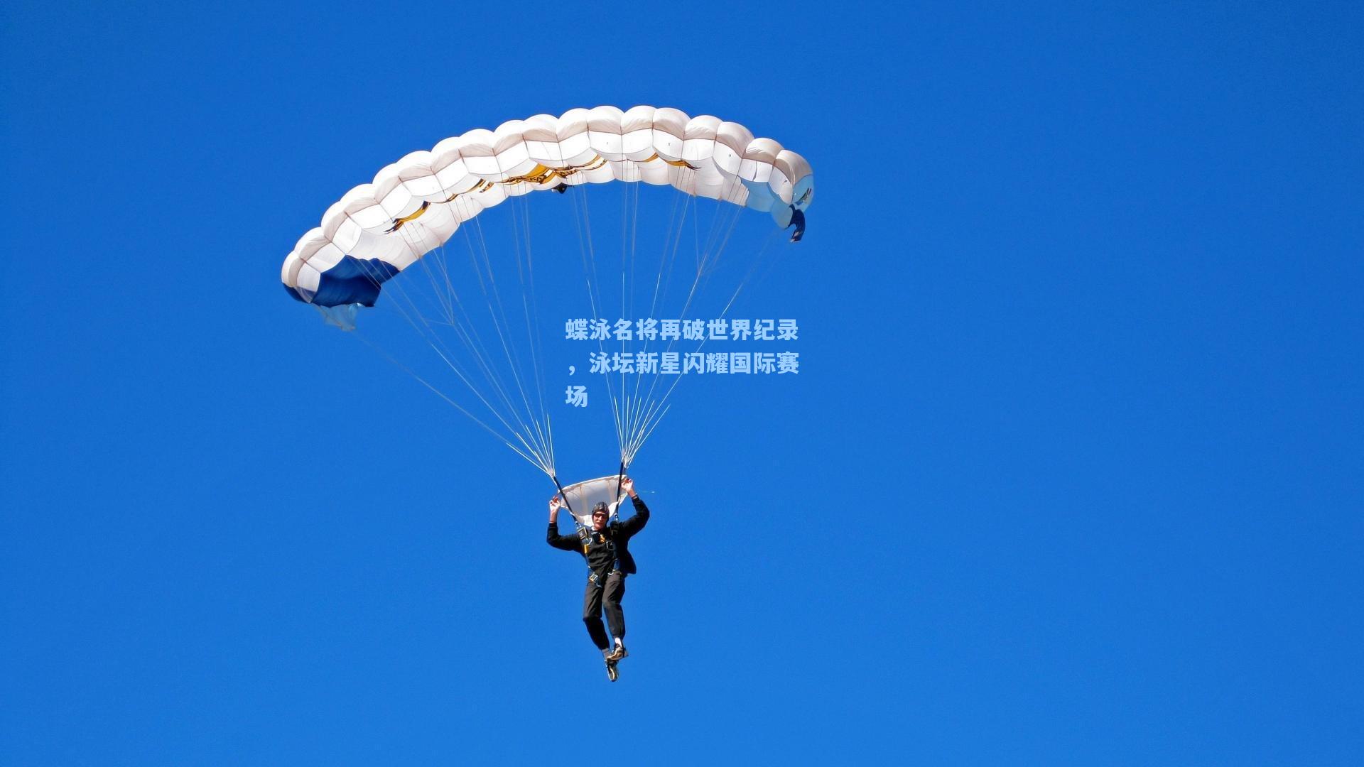 蝶泳名将再破世界纪录，泳坛新星闪耀国际赛场